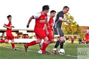 bezirksliga-weser-ems-5-tsv-venne-sportfreunde-lechtingen-17