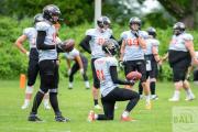 Football-osc-tigers-hannover-scorpions-1