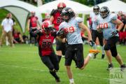 Football-osc-tigers-hannover-scorpions-32