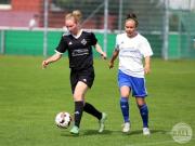 OSC2-0Hollage-20