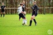 IMG7782