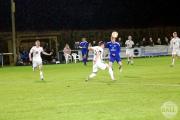 IMG7953