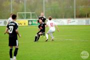 IMG8186