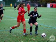 OSC3-1Gottingen-34