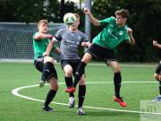 gretesch-1-4-raspoii--10-