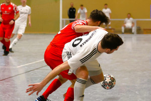 belmer indoor cup 2024  
