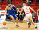 artland dragons vs vfl bochumimageswatermark