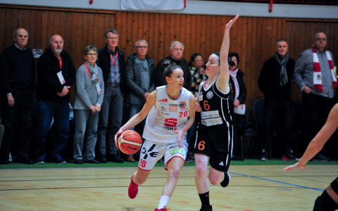 Basketball | GiroLive Panthers vs. Bergische Löwen