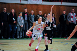 girolive panthers bergische loewen  3