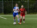 harderberg 1 3 osc  