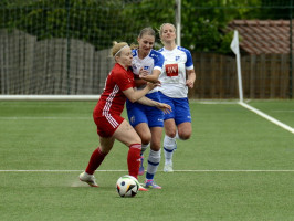 harderberg 1 3 osc  