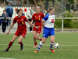 harderberg 1 3 osc  