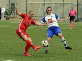 harderberg 1 3 osc  