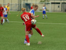 harderberg 1 3 osc  
