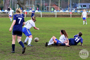 frauenfussball oberliga blau weiss hollage eintracht lneburg