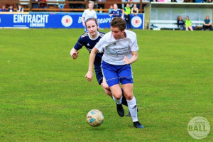 frauenfussball oberliga blau weiss hollage eintracht lneburgimageswatermark