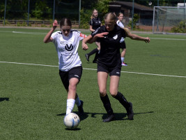 gretesch 0 3 bv garrel u17  