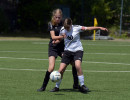 gretesch 0 3 bv garrel u17  