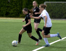 gretesch 0 3 bv garrel u17  