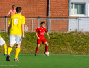 061 dsc