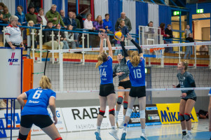 volleyball sv bad laer emder volleys  