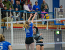 volleyball sv bad laer emder volleys  