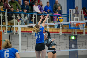 volleyball sv bad laer emder volleys  
