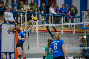 volleyball sv bad laer emder volleys  