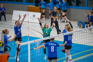 volleyball sv bad laer emder volleys  