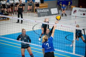 volleyball sv bad laer emder volleys  