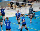 volleyball sv bad laer emder volleys  