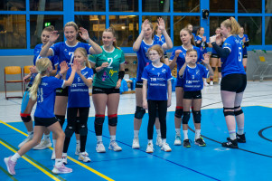 volleyball sv bad laer emder volleys  