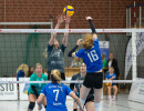volleyball sv bad laer emder volleys  