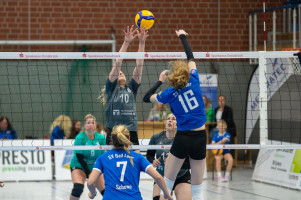 volleyball sv bad laer emder volleys  