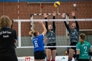 volleyball sv bad laer emder volleys  