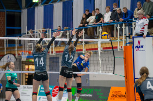 volleyball sv bad laer emder volleys  