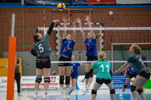 volleyball sv bad laer emder volleys  