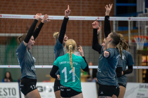 volleyball sv bad laer emder volleys  