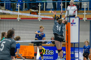 volleyball sv bad laer emder volleys  