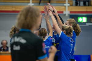 volleyball sv bad laer emder volleys  