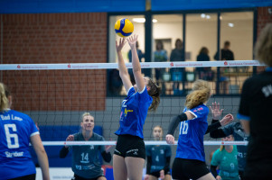 volleyball sv bad laer emder volleys  