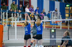 volleyball sv bad laer emder volleys  