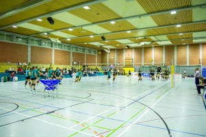 volleyball sv bad laer sc spelle venhaus  