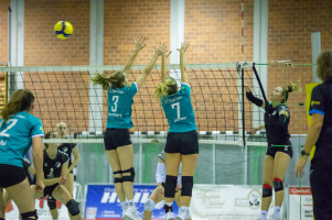 volleyball sv bad laer sc spelle venhaus  