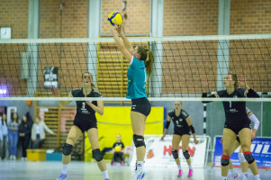 volleyball sv bad laer sc spelle venhaus  