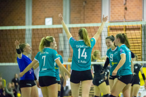volleyball sv bad laer sc spelle venhaus  
