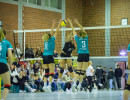 volleyball sv bad laer sc spelle venhaus  