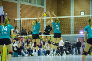 volleyball sv bad laer sc spelle venhaus  