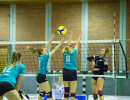 volleyball sv bad laer sc spelle venhaus  