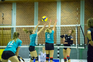 volleyball sv bad laer sc spelle venhaus  